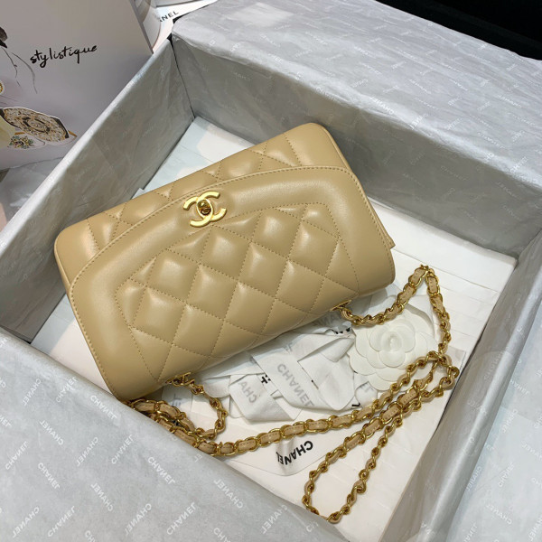 CL FLAP BAG