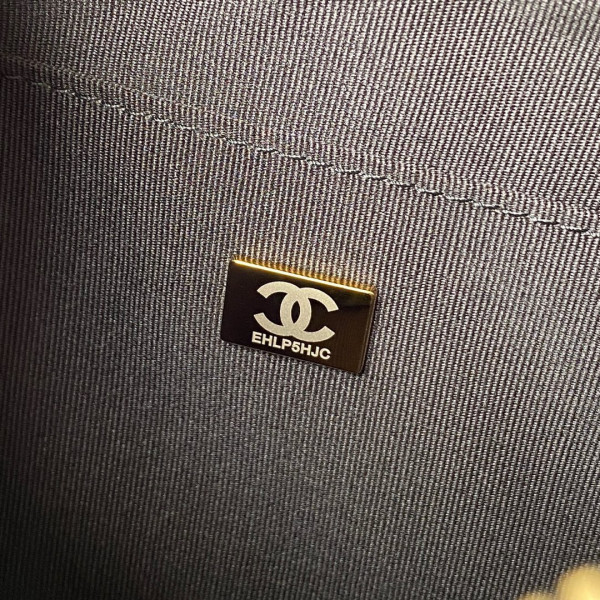 CL camera bag