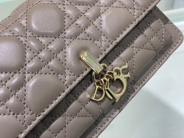 D*or lady D*or chain pouch