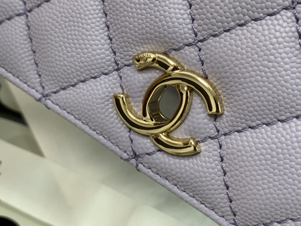CL FLAP BAG WITH TOP HANDLE