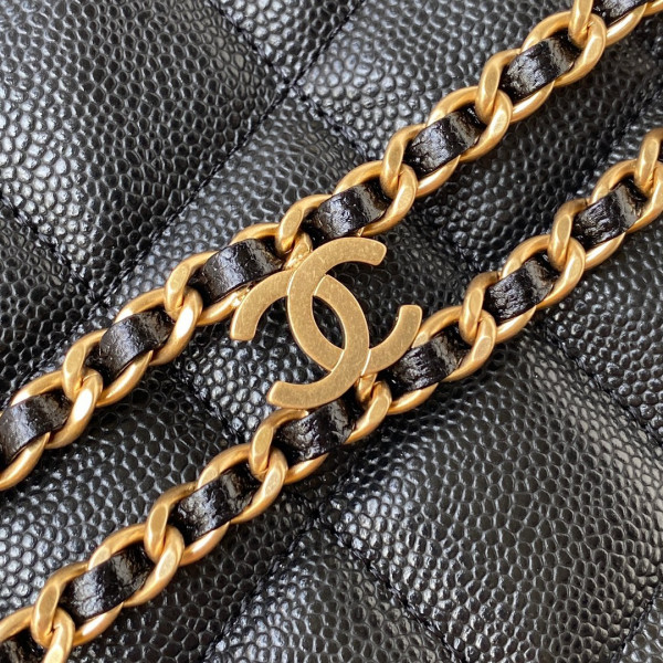 CL SMALL HOBO BAG
