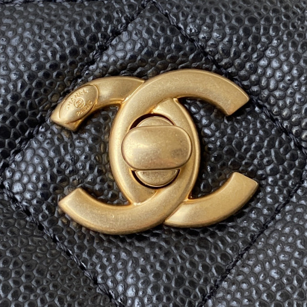 CL SMALL HOBO BAG