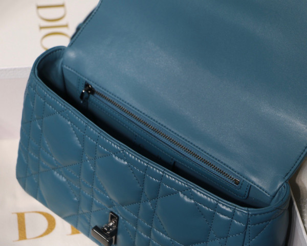 D*or medium D*or caro bag