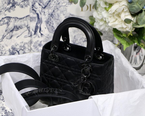 lady D*or my abcD*or bag-20cm