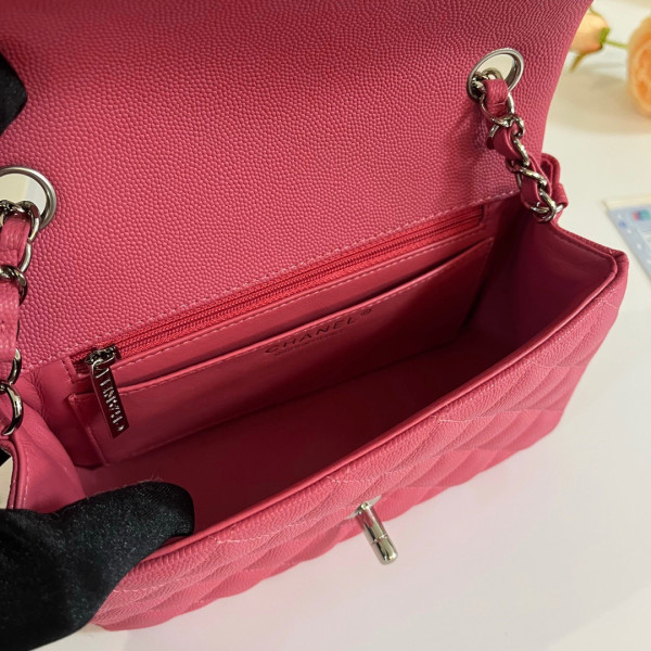 CL FLAP BAG 20CM