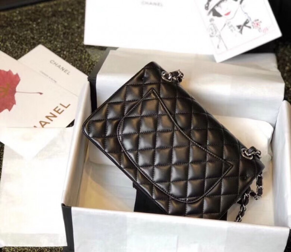 CL FLAP BAG 23CM
