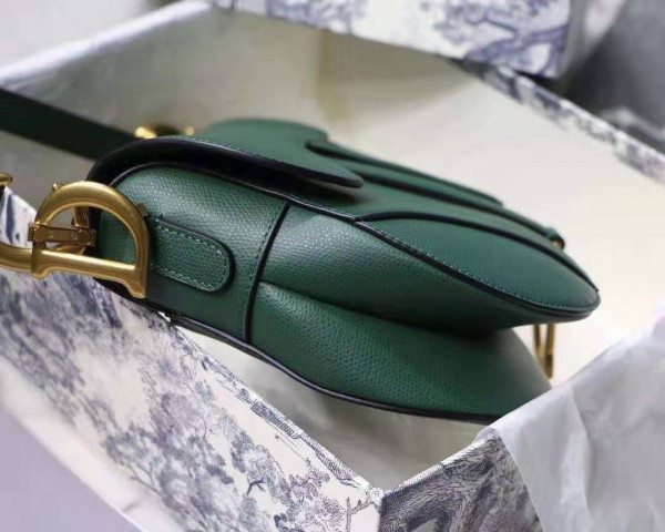D*or saddle bag