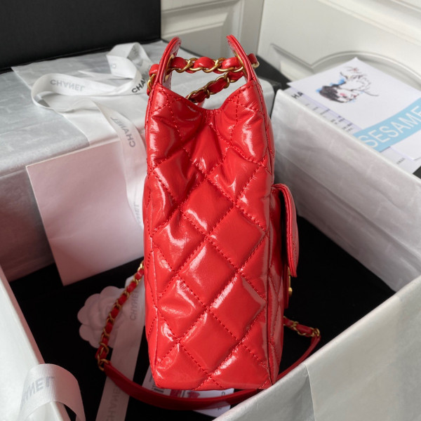 CL HOBO HANDBAG