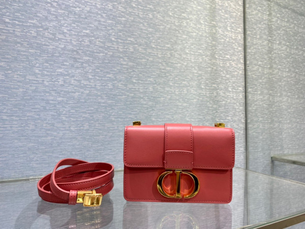 D*or 30 montaigne bag