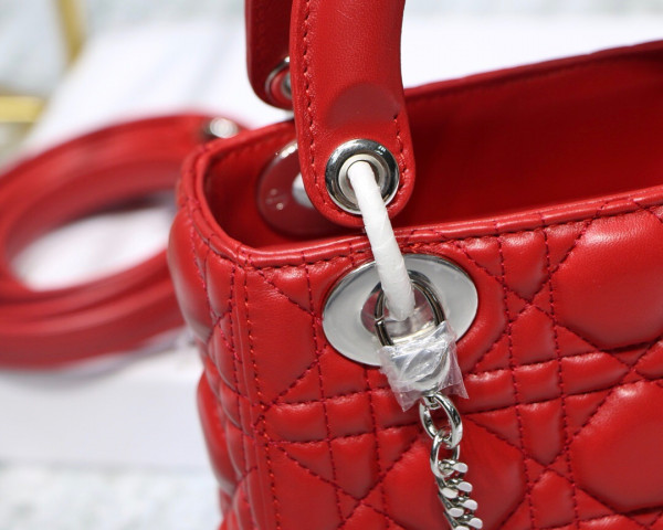 lady D*or mini with lambskin
