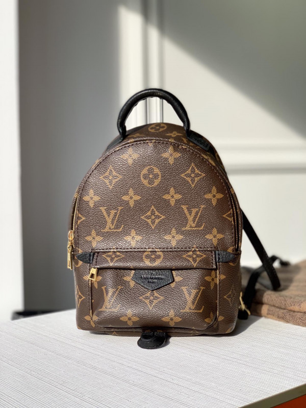 l**is V*t*n palm springs mini new editon