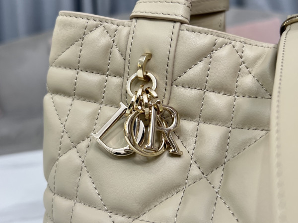 D*or small toujours bag