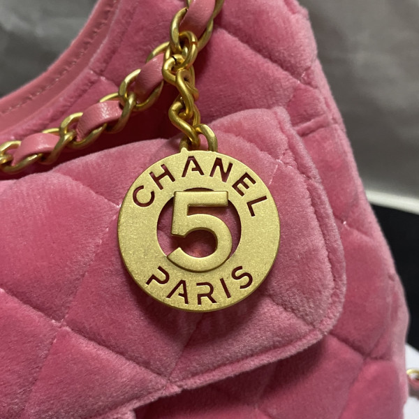 CL SMALL HOBO HANDBAG