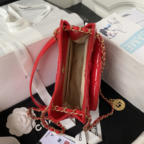 CL SMALL HOBO HANDBAG
