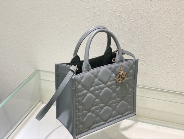 small D*or book tote