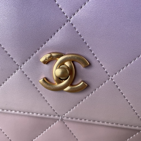 CL LARGE HOBO BAG