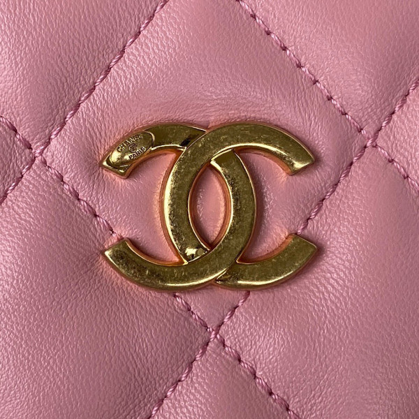 CL HOBO HANDBAG